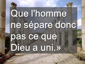 27ième dimanche du temps ordinaire par P. Claude TASSIN (Spiritain)