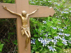 Crucifix, Forêt de Bélouve, Réunion