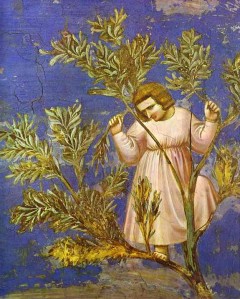 Zachée - Giotto