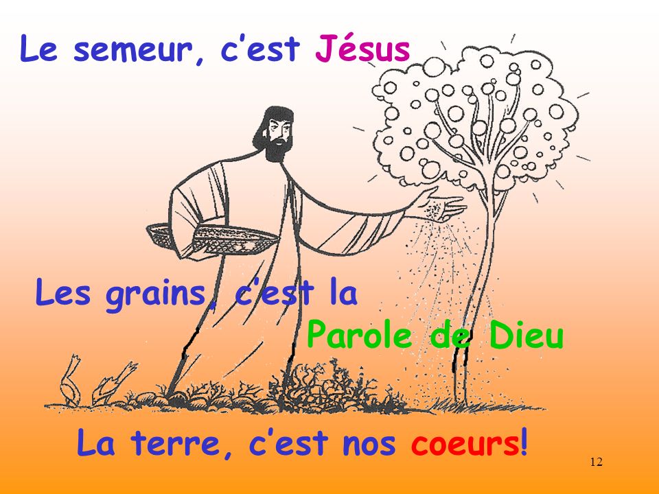 15ième Dimanche du Temps Ordinaire (Mt 13, 1-23)- Homélie du Père Louis ...