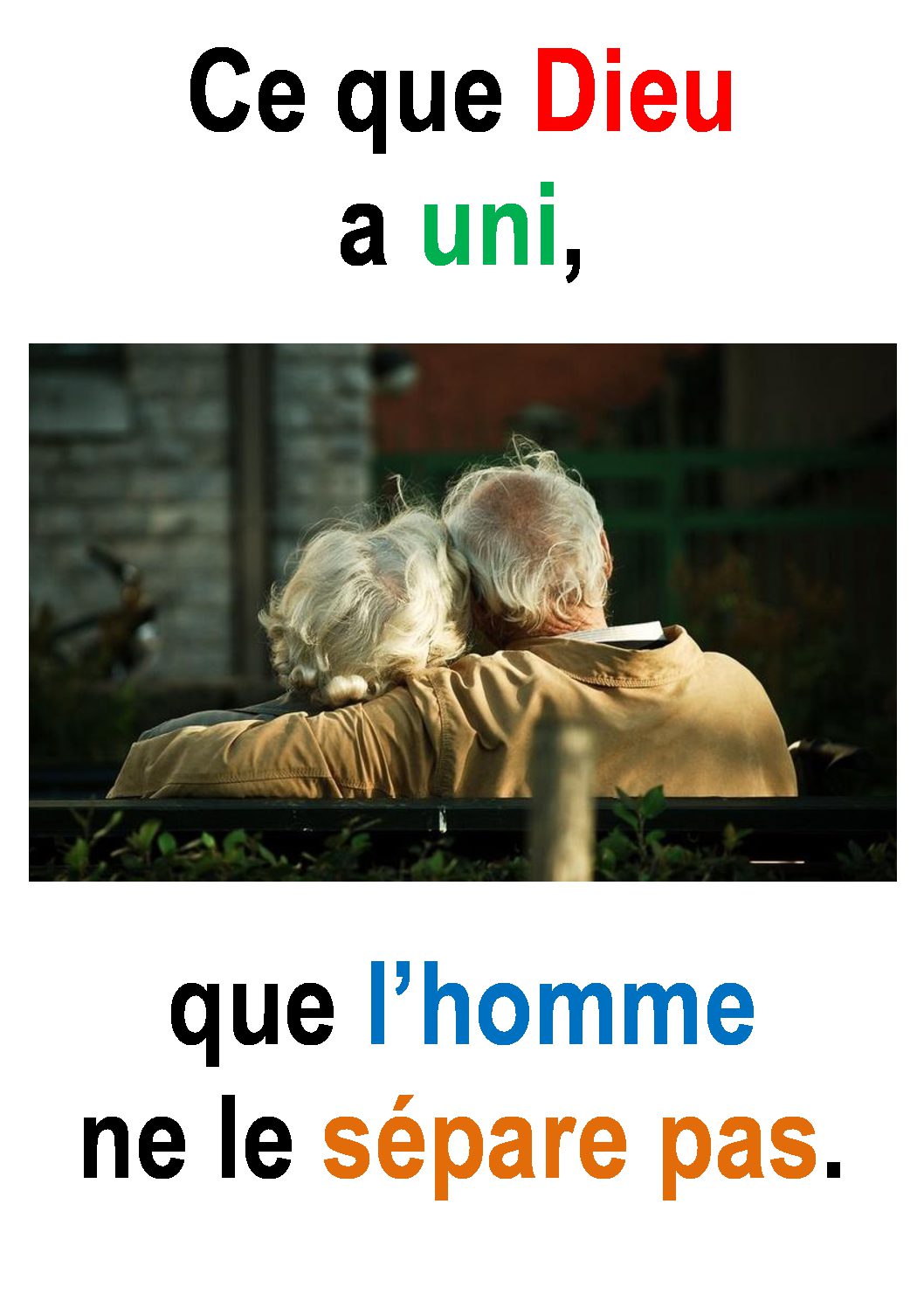 27ième Dimanche du Temps Ordinaire – par Francis COUSIN (Marc 10, 2-16) | Sedifop